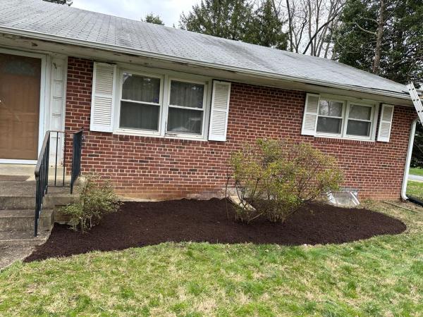 Morales Tree Services and Landscaping