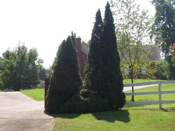 Thompson's Landscaping & Mowing