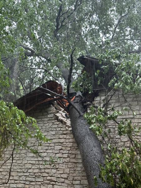 Above It All Tree Care