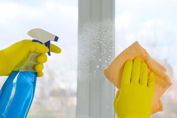 Window Warriors