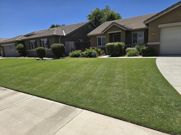 All American Lawn Care