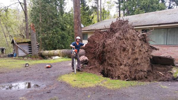 Gentlemens Tree Service