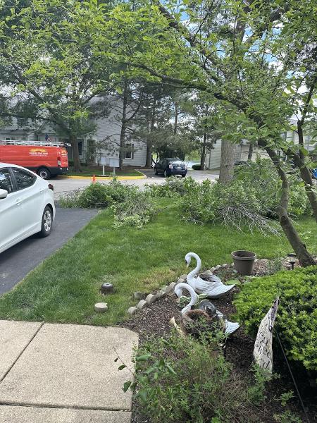Sunrise Tree Care
