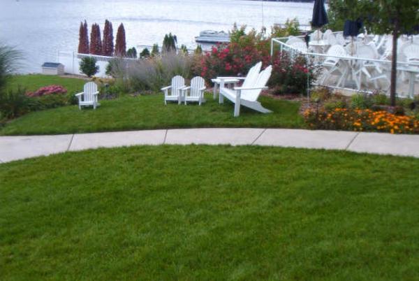 Weed and Feed Lawn Care