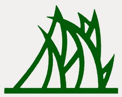Weed and Feed Lawn Care