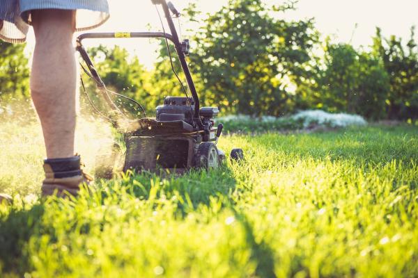 Easy Lawn Care