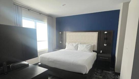 Professional Painting Contractor