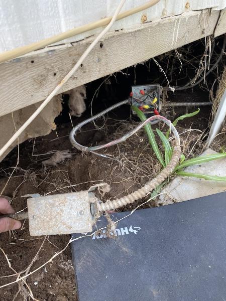 Homewize Electric