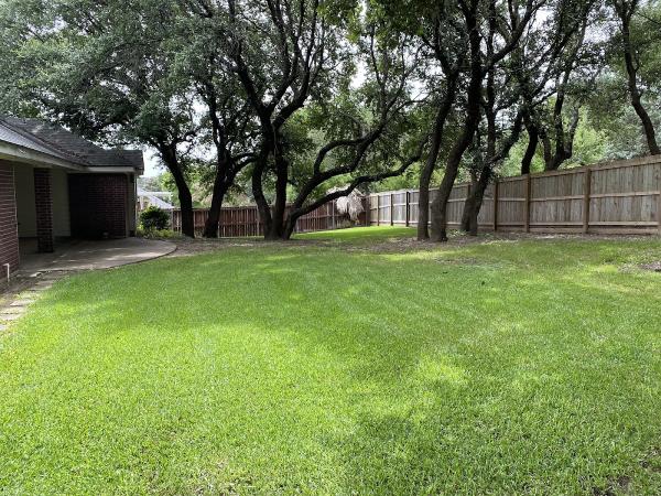 Texas Lawn Guys LLC