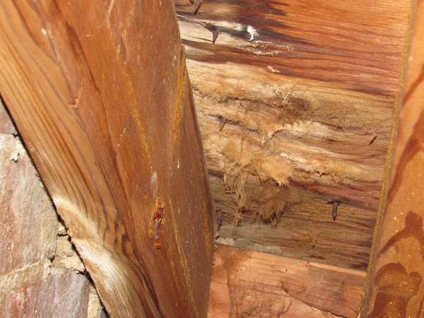 Stephen and Son Home Inspection