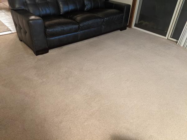 Leo's Dry Carpet Cleaning