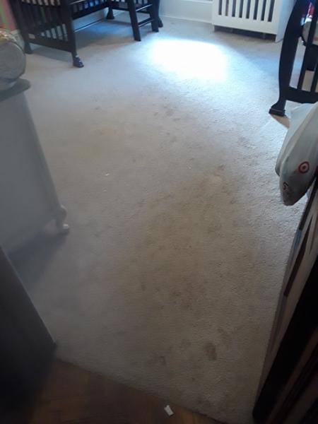 Leo's Dry Carpet Cleaning