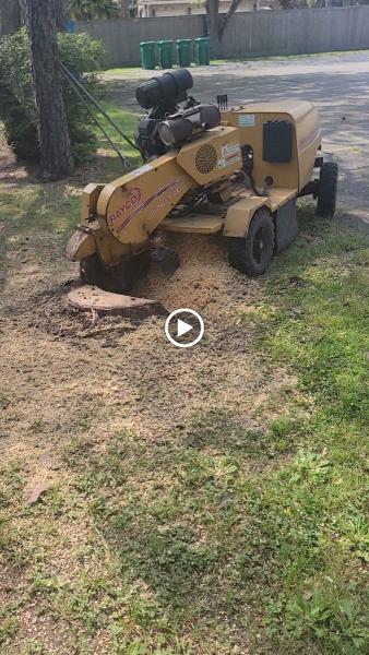 Machuca Jr Tree Service