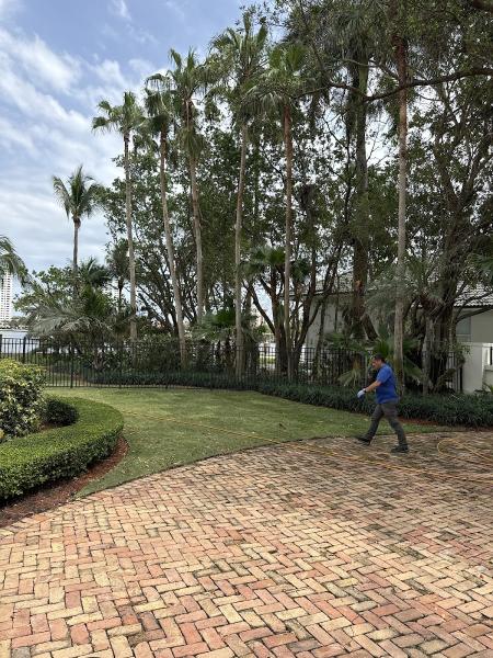 Levy Environmental LLC