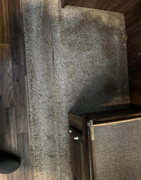 Early Bird Carpet Cleaning