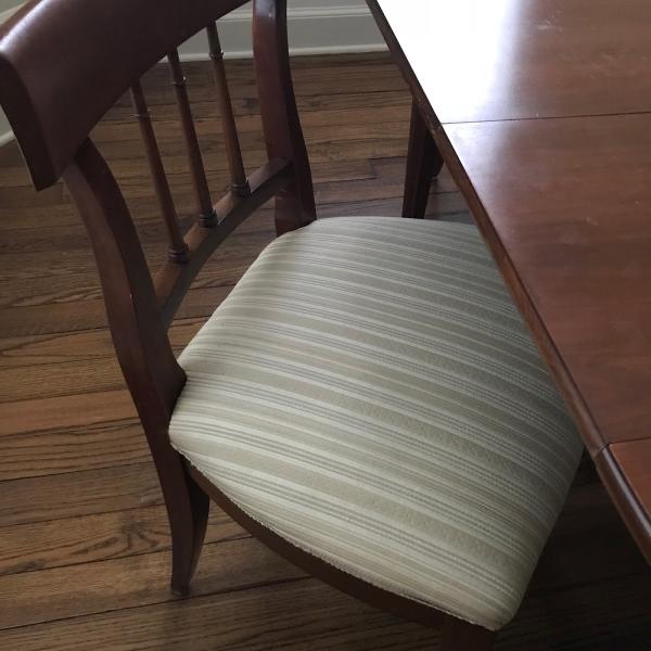 Tiger Paws Carpet & Upholstery Cleaning