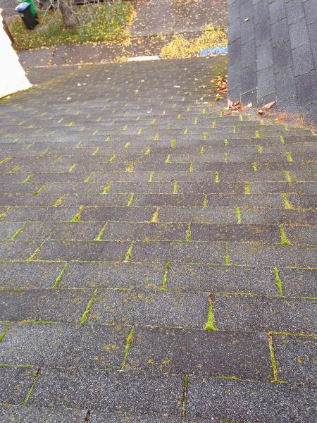 PDX Clean King LLC Moss Removal Portland