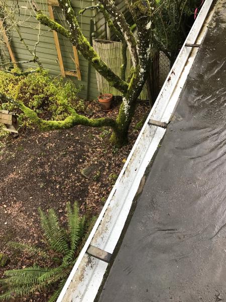 PDX Clean King LLC Moss Removal Portland