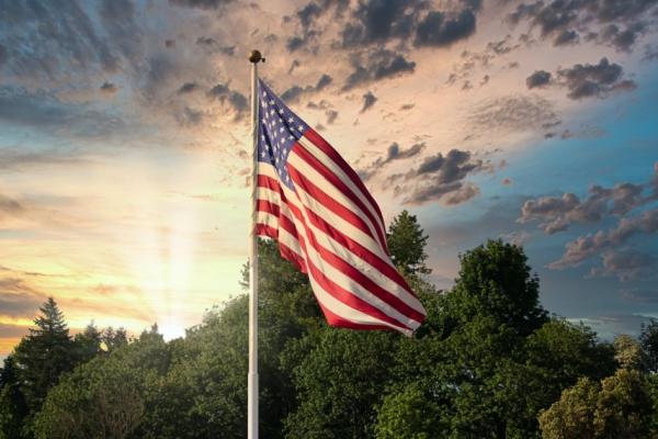 Freedom Tree Works