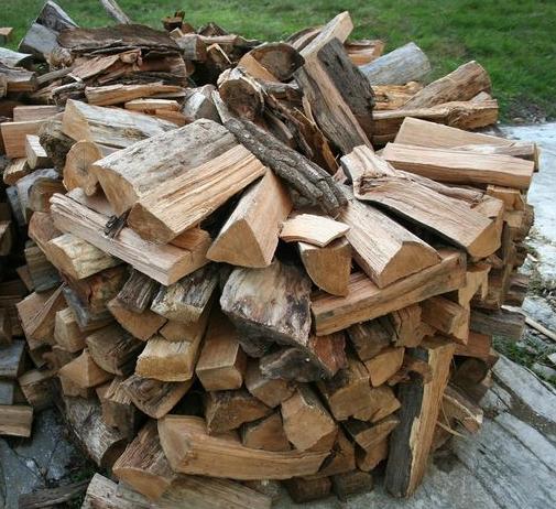 Tree Preservation and Removal By Daniel Green