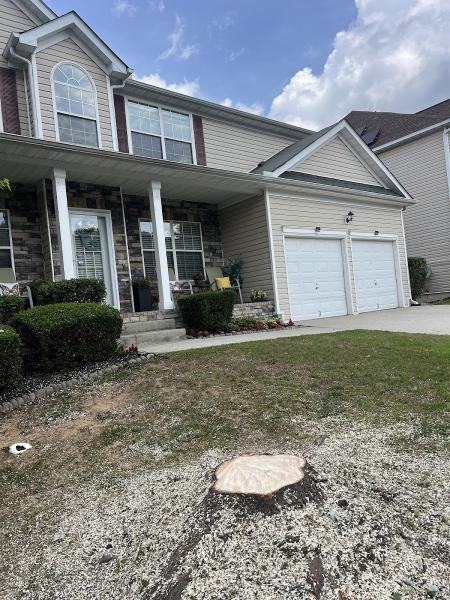 Golden Leaf Tree Service