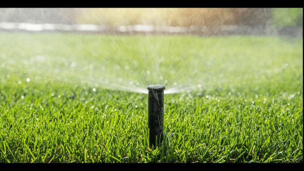 Local Sprinkler Pros