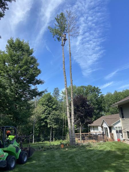 Aden Tree Care