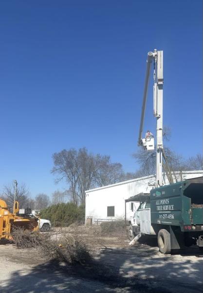 All Points Tree Service
