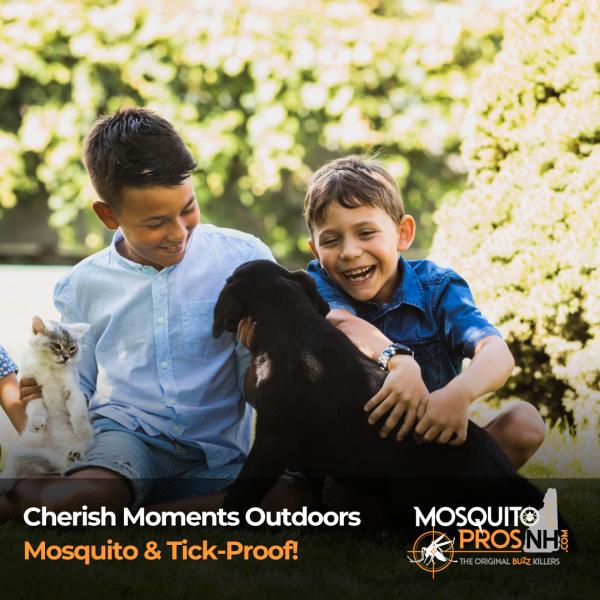 Mosquito Pro's NH