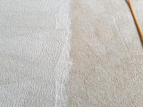 Superior Carpet & Upholstery Care