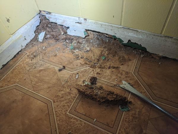 VGN Property Inspections