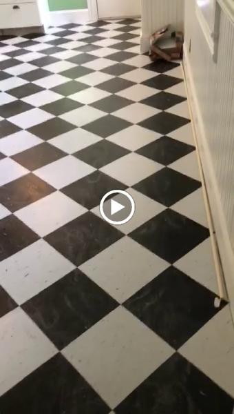 Amazonia Floors
