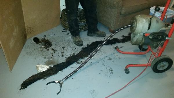 Econo Sewer & Drain