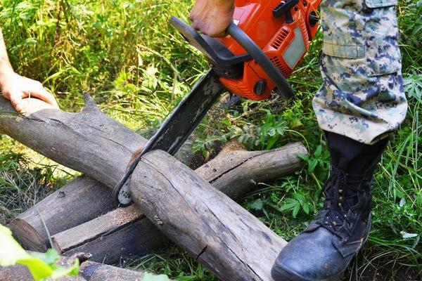 Tree Solutions Dr Philips