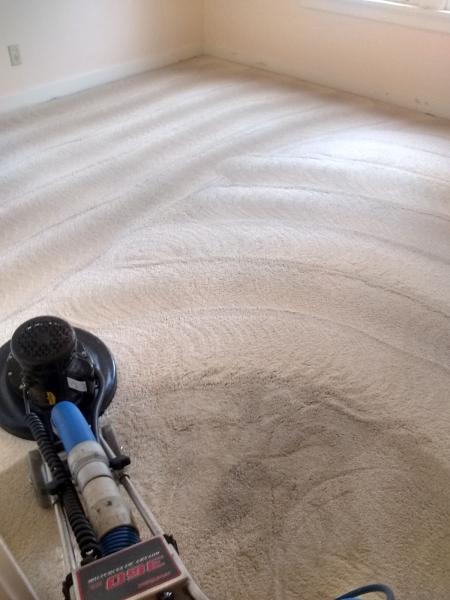Alexis & Sons Carpet Cleaning Service