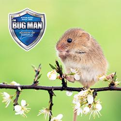 Connecticut Pest Elimination