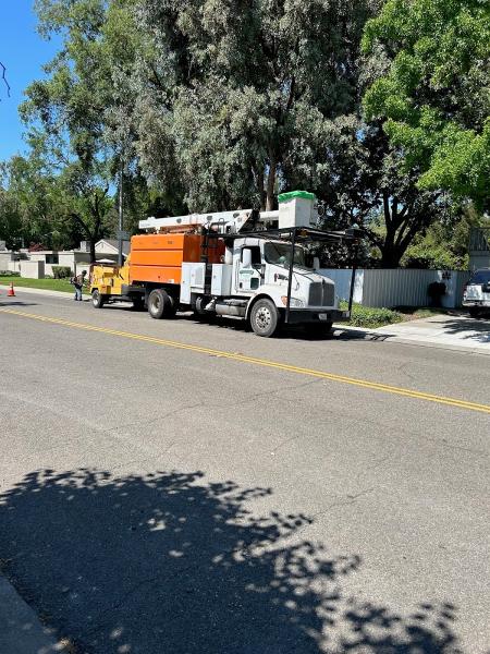 Stockton Tree Surgery