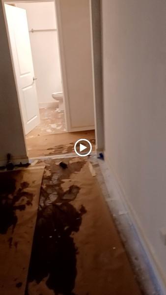Morrone Painting and Remodeling