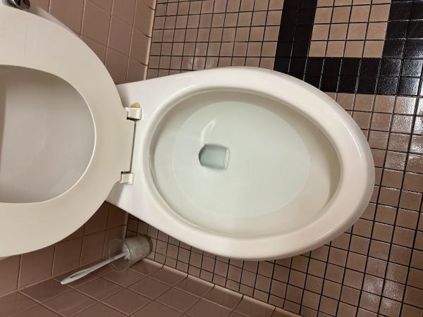 Ramirez Janitorial Services