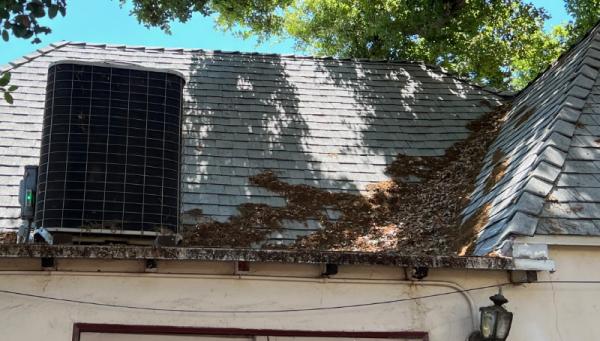 Stay Dry Roofing Company