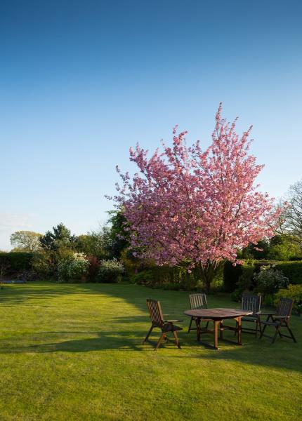 Turfology Lawn Care