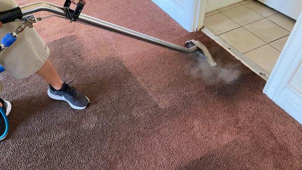 Dirty Dog Carpet Cleaning