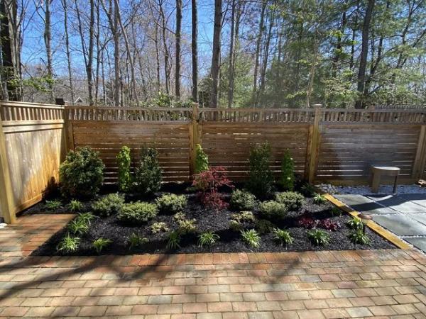 Treetola's Arbor Care