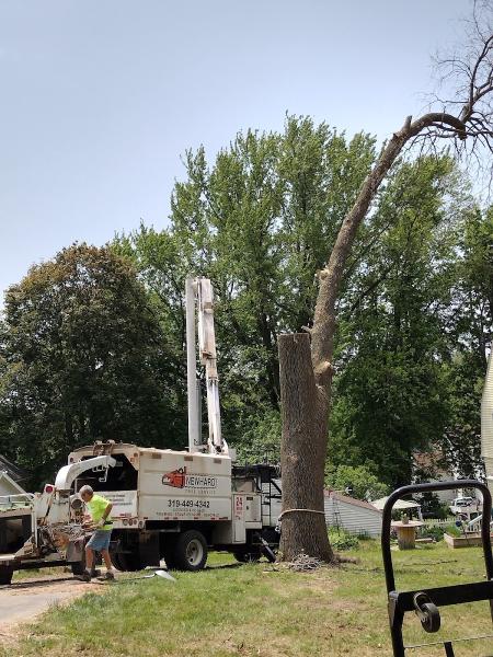 Newhard Tree Service