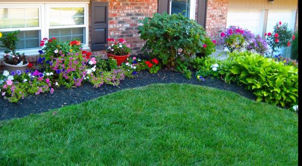 Impact Lawn Service