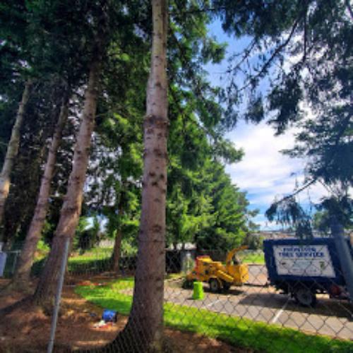 Frontier Tree Service