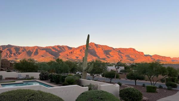 Copper State Pest Management