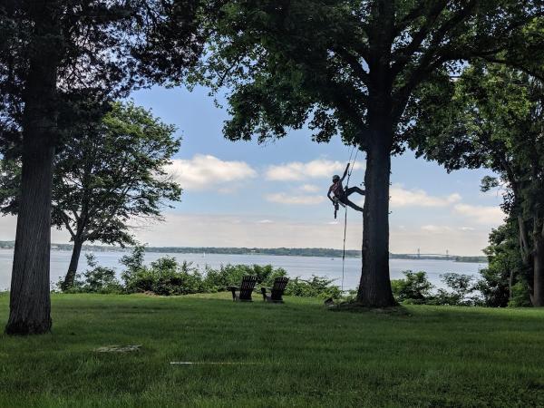 Stanley Tree Service