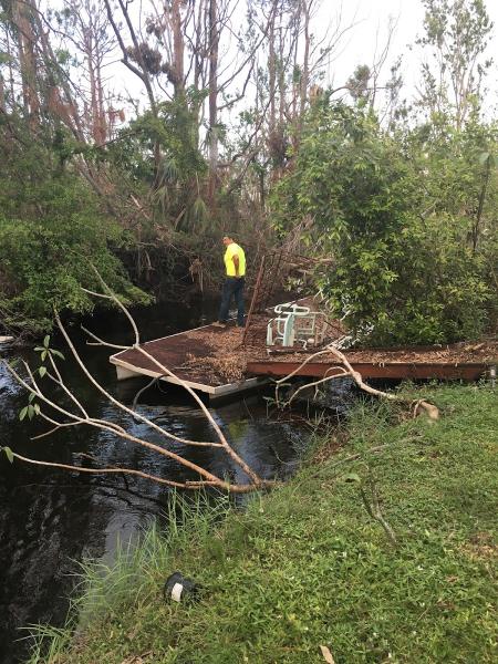 Peachtree Arborists