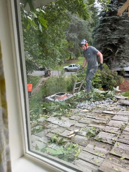 Fine Line Tree Service